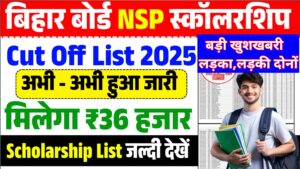 nsp list 2025