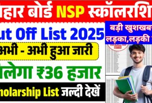 nsp list 2025