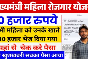 Bihar Mukhyamantri Mahila Rojgar Yojana 2025