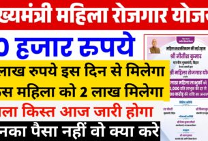 Mukhyamantri Mahila Rojgar Yojana Bihar status check